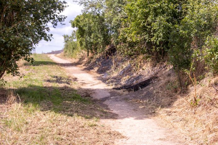 Omwonenden blussen brand met tuinslang