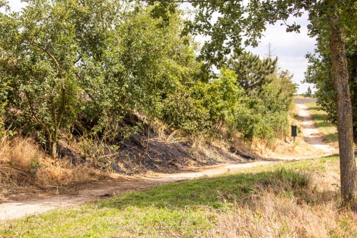 Omwonenden blussen brand met tuinslang