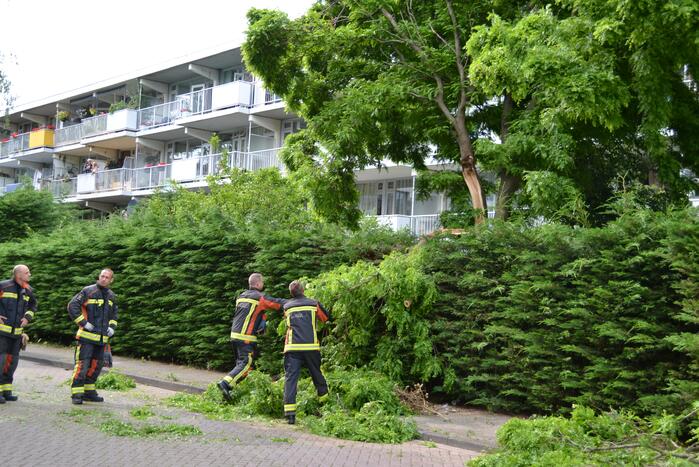 Gevaarlijk hangende tak verwijderd