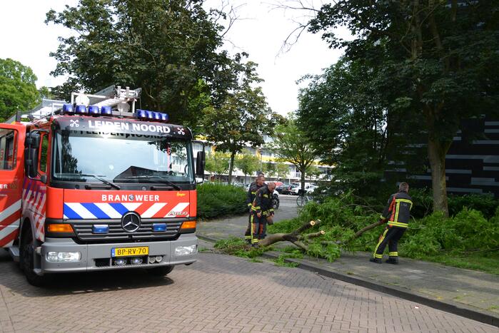 Gevaarlijk hangende tak verwijderd