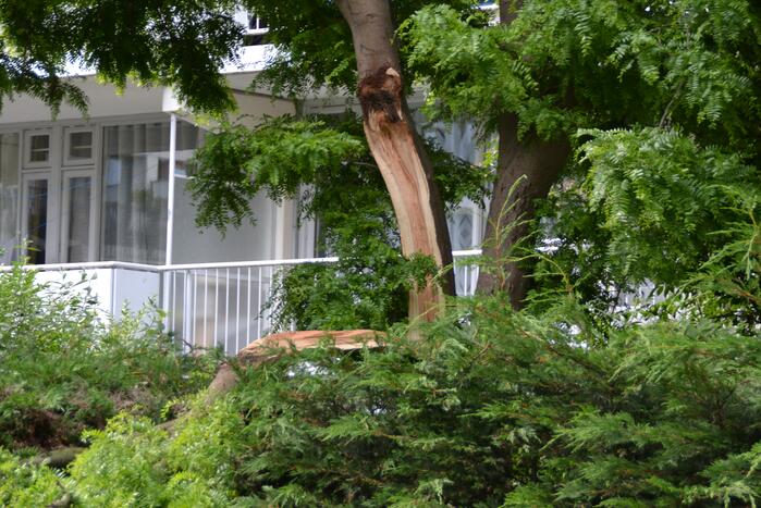 Gevaarlijk hangende tak verwijderd