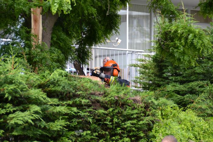 Gevaarlijk hangende tak verwijderd