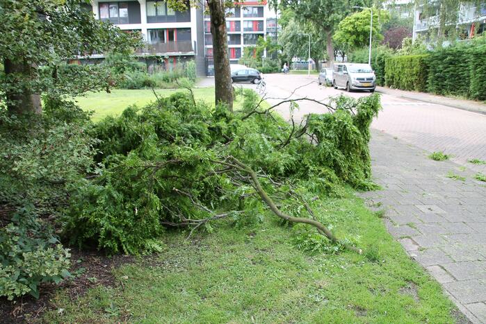 Gevaarlijk hangende tak verwijderd
