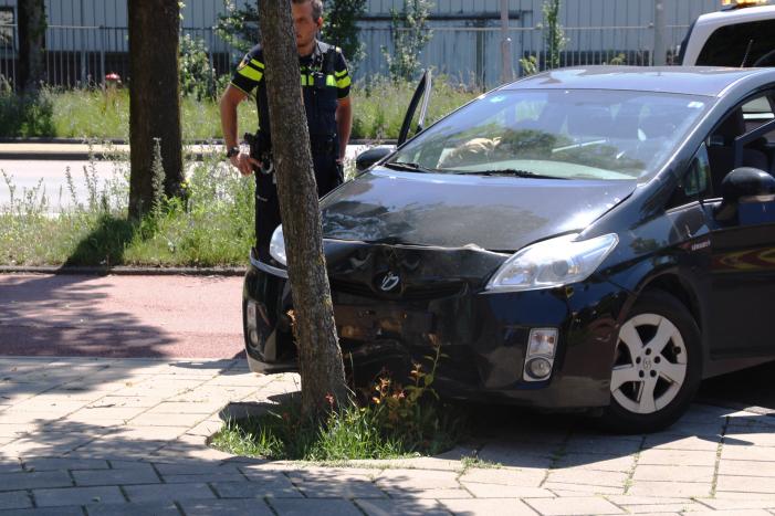 Automobilist botst tegen boom na uitwijkmanoeuvre