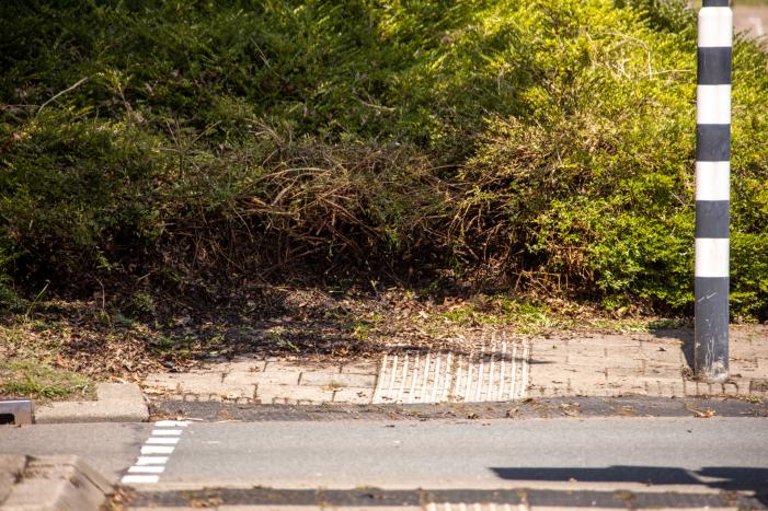 Struiken in brand op bedrijventerrein De Hoef