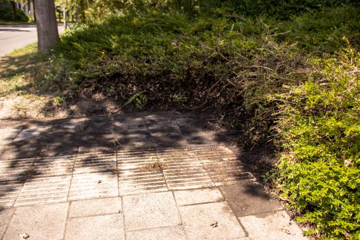 Struiken in brand op bedrijventerrein De Hoef