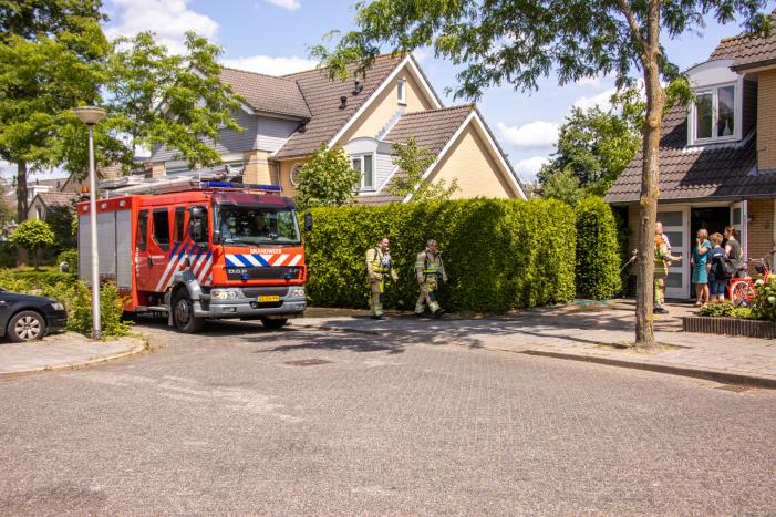 Bewoner voorkomt brand in coniferenhaag