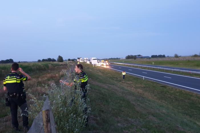 Weg dicht na losgebroken paarden
