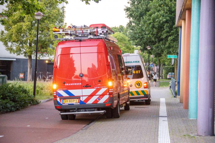 Gans met gebroken vleugel gered in Nieuwland