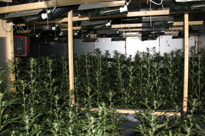 Hennepkwekerij aangetroffen in slaapkamer