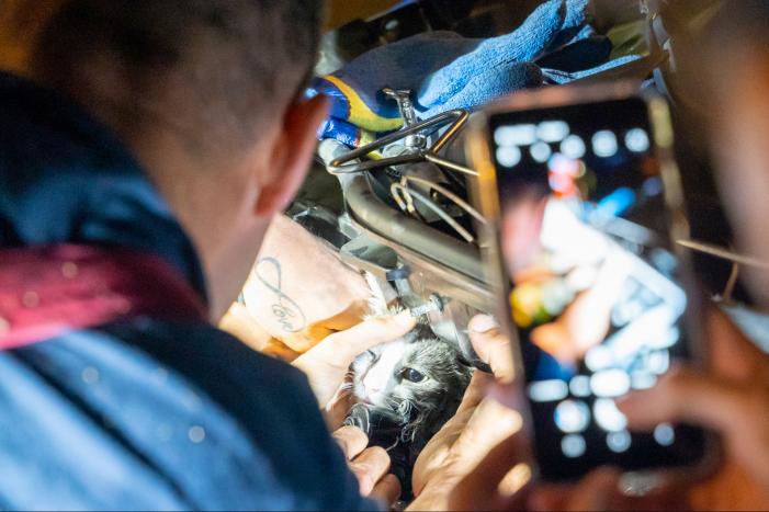 Poes Luna houdt brandweermannen en berger uren zoet met auto