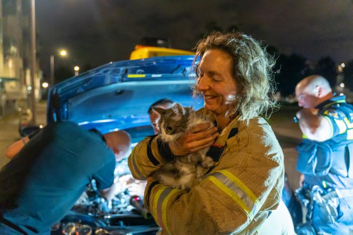 Poes Luna houdt brandweermannen en berger uren zoet met auto