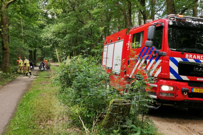 Enorme tak van eikenboom met eikenprocessierups breekt af en valt op fietspad