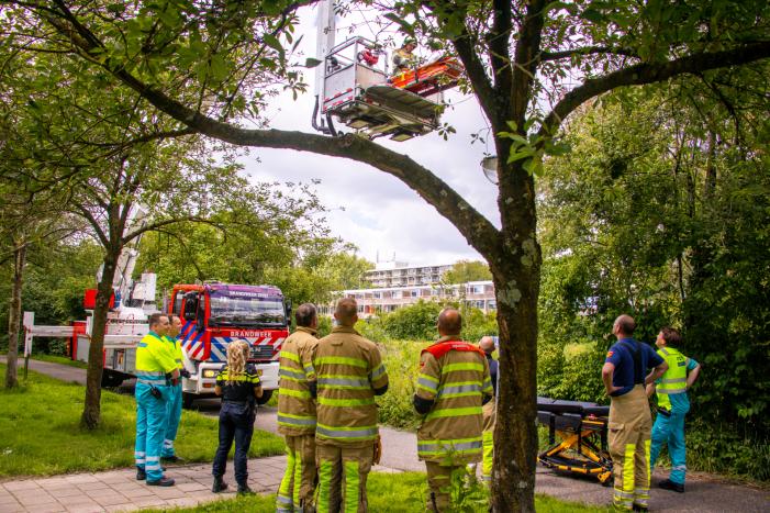 Griffensteijnselaan 112 meldingen Zeist 