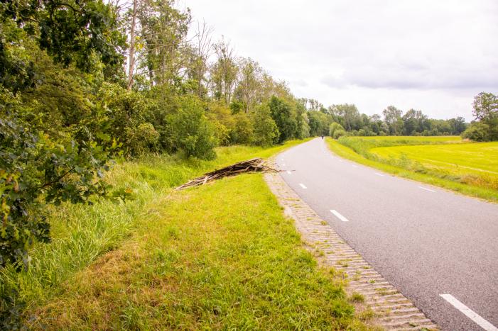 Oude schutting langs de weg gedumpt