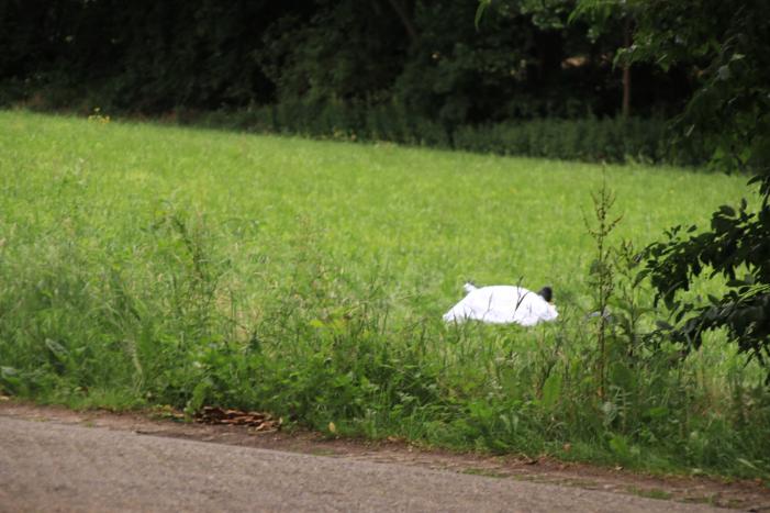 Ruiter overleden na val van paard