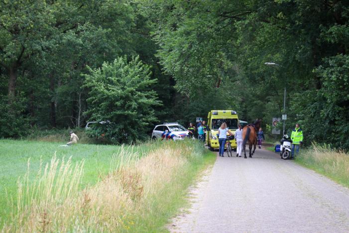 Ruiter overleden na val van paard