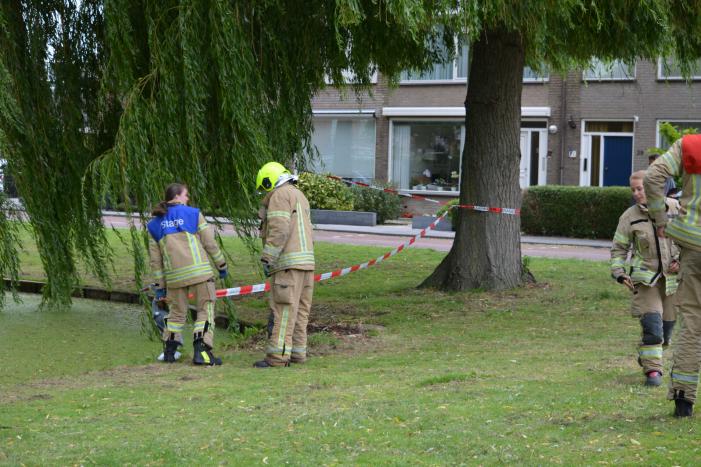 Brandweer redt eendenfamilie