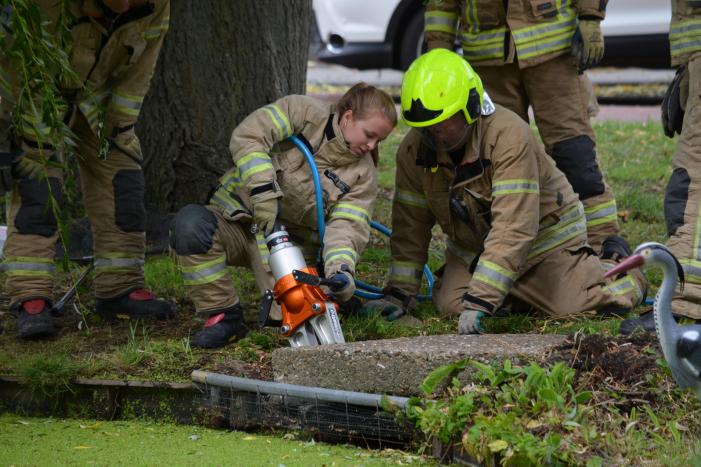 Brandweer redt eendenfamilie