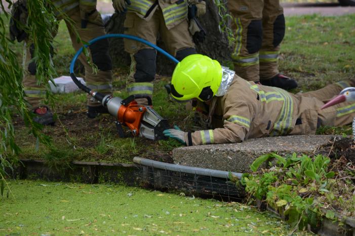 Brandweer redt eendenfamilie