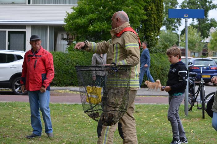 Brandweer redt eendenfamilie