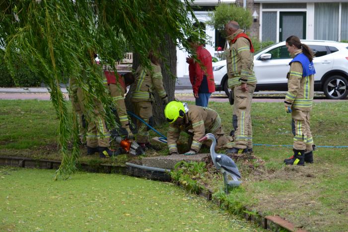 Brandweer redt eendenfamilie