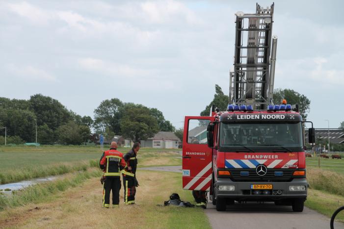 Koe kiest het ruime sop