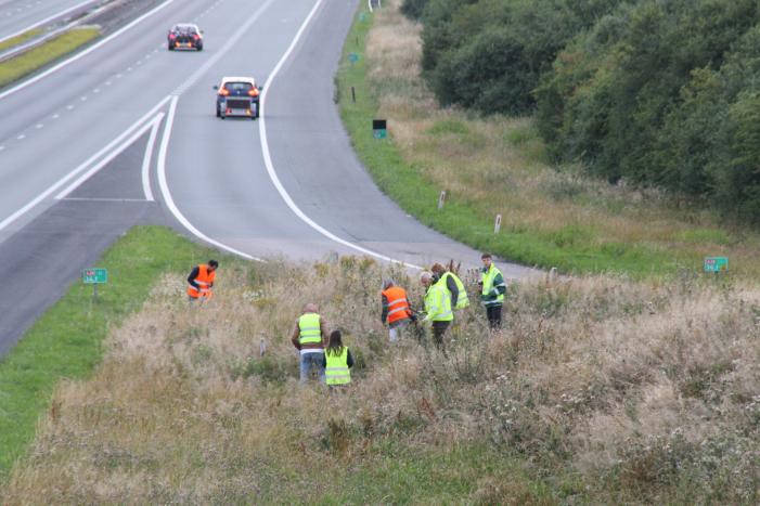 Grote zoekactie naar onder auto vandaan gevallen kitten