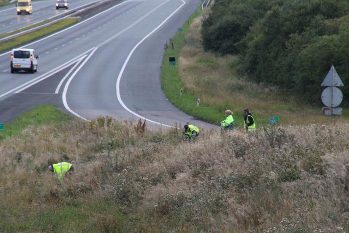 Grote zoekactie naar onder auto vandaan gevallen kitten