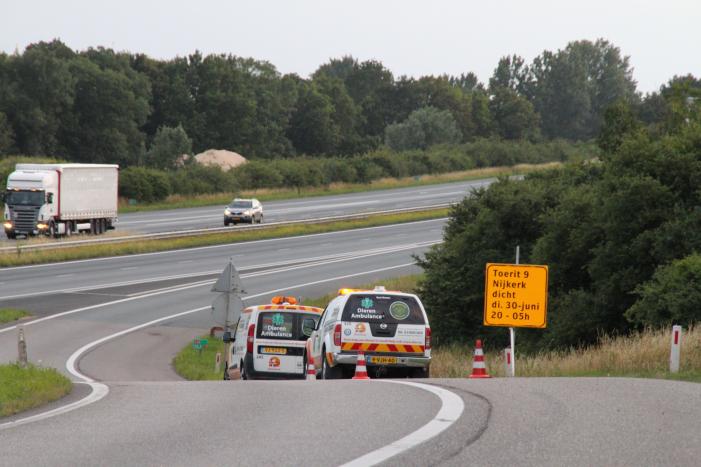 Grote zoekactie naar onder auto vandaan gevallen kitten