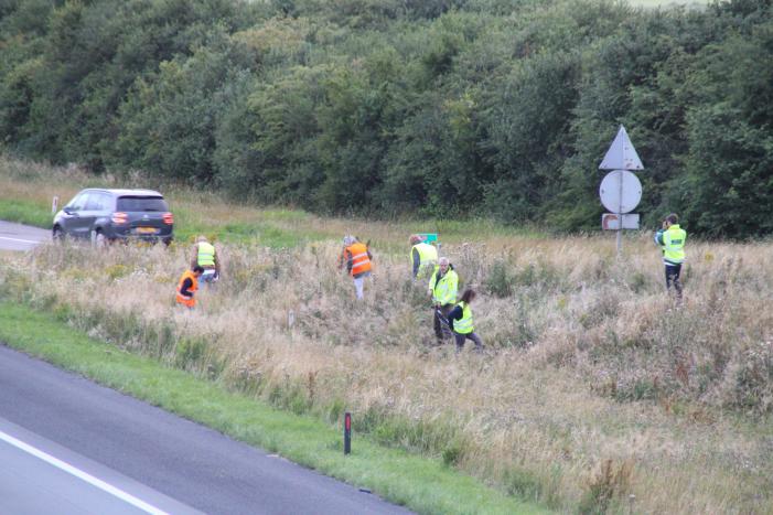 Grote zoekactie naar onder auto vandaan gevallen kitten
