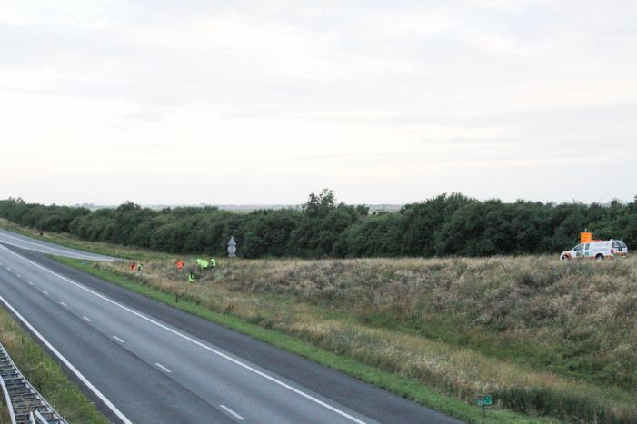 Grote zoekactie naar onder auto vandaan gevallen kitten