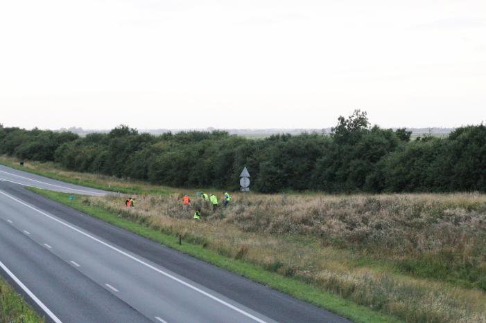 Grote zoekactie naar onder auto vandaan gevallen kitten
