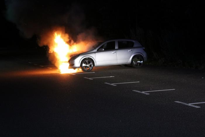 Auto total loss door brand