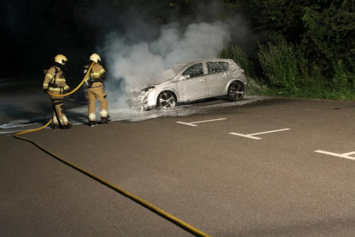 Auto total loss door brand