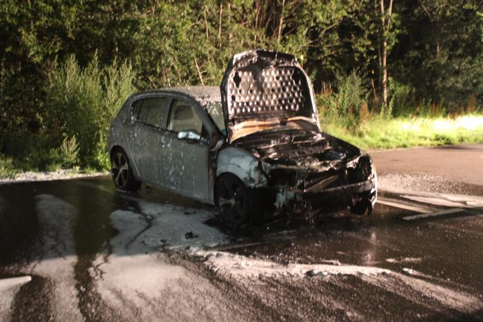 Auto total loss door brand