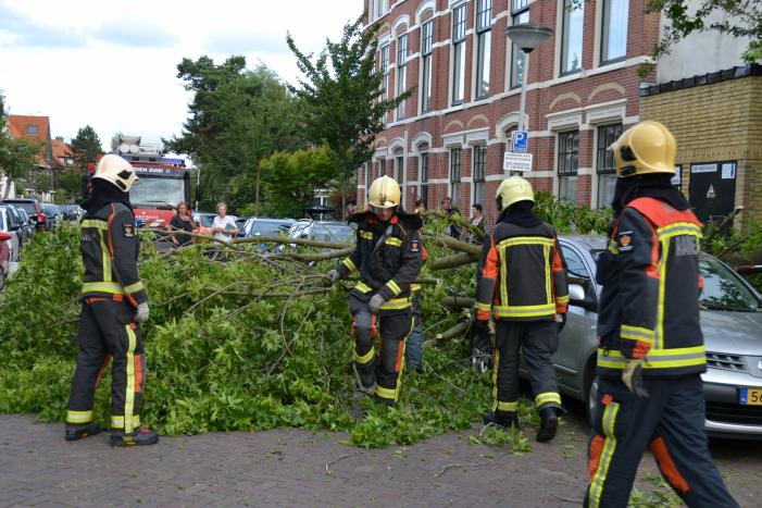 Boom breekt af en valt tegen achterkant van auto