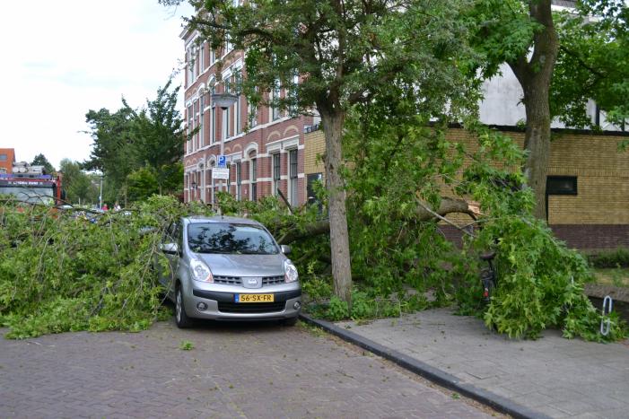 Boom breekt af en valt tegen achterkant van auto