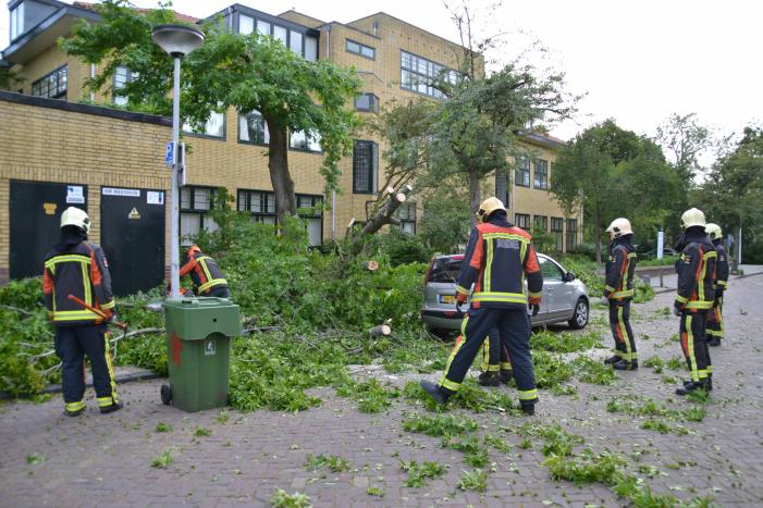 Boom breekt af en valt tegen achterkant van auto