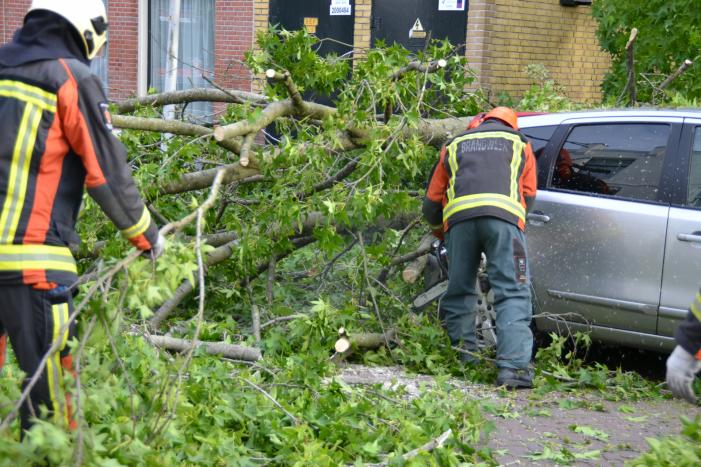 Boom breekt af en valt tegen achterkant van auto