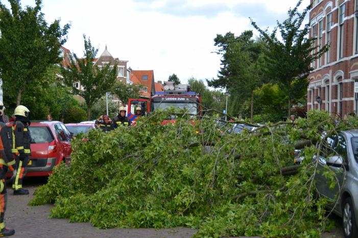 Boom breekt af en valt tegen achterkant van auto
