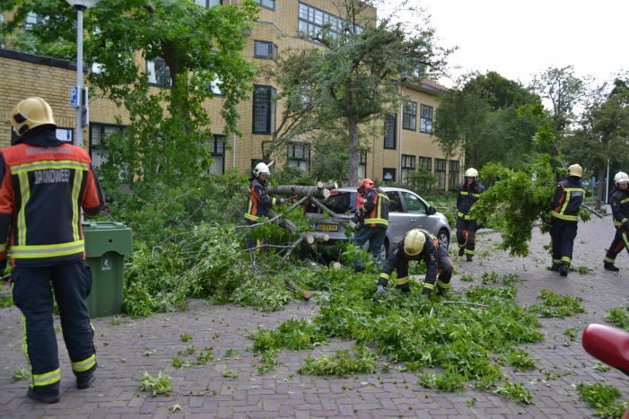 Boom breekt af en valt tegen achterkant van auto