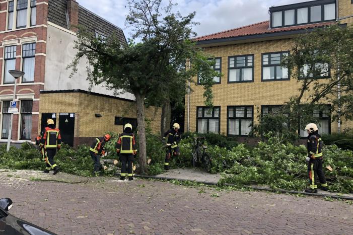 Boom breekt af en valt tegen achterkant van auto