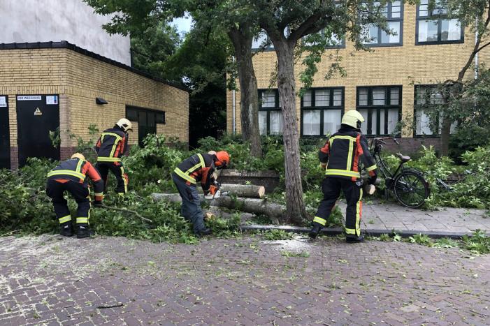 Boom breekt af en valt tegen achterkant van auto