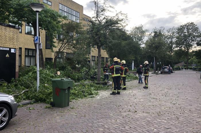 Boom breekt af en valt tegen achterkant van auto