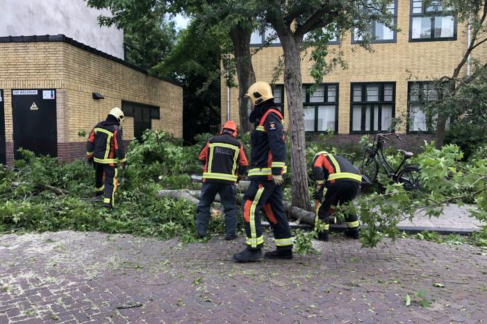 Boom breekt af en valt tegen achterkant van auto