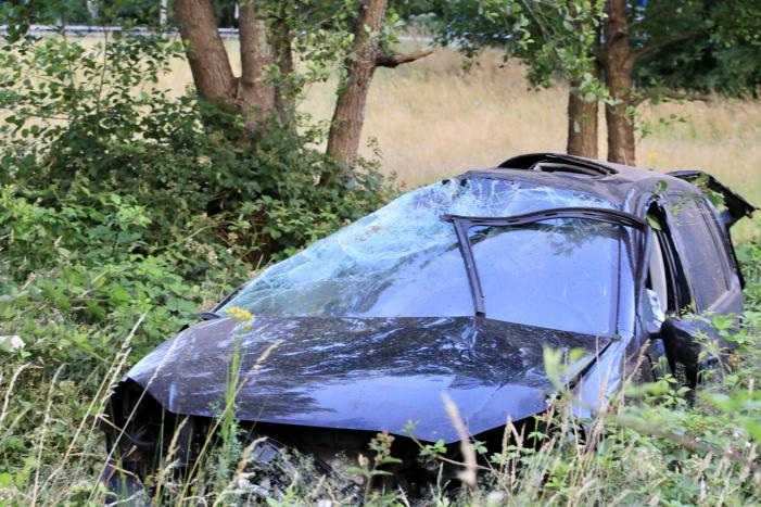 Auto crasht tussen bomen door