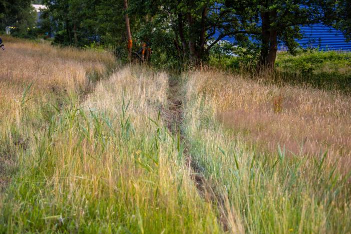 Auto crasht tussen bomen door