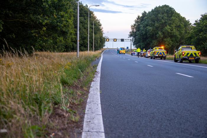 Auto crasht tussen bomen door