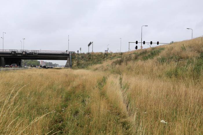 Gezin belandt met auto in de berm